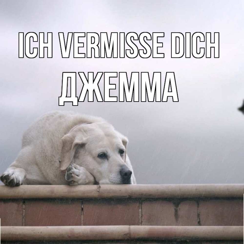 Открытка на каждый день с именем, Джемма Ich vermisse dich ждет Прикольная открытка с пожеланием онлайн скачать бесплатно 