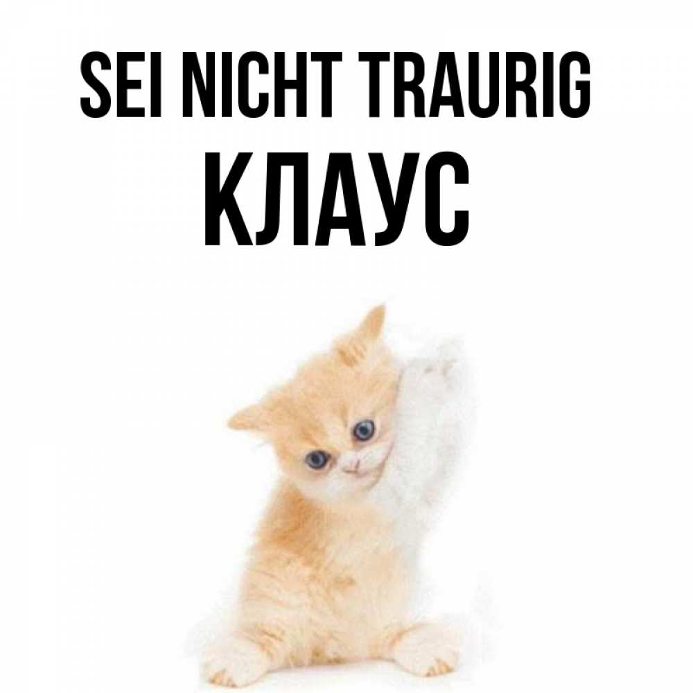 Открытка на каждый день с именем, Клаус Sei nicht traurig просящий кот Прикольная открытка с пожеланием онлайн скачать бесплатно 