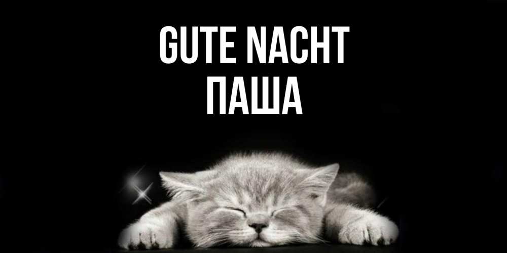 Открытка на каждый день с именем, Паша Gute Nacht спящий котик Прикольная открытка с пожеланием онлайн скачать бесплатно 