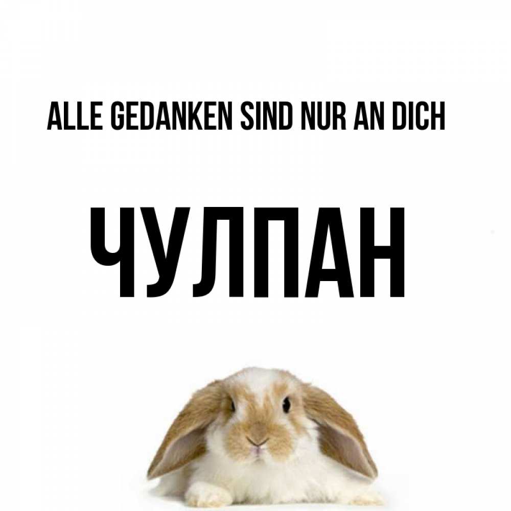 Открытка на каждый день с именем, Чулпан Alle Gedanken sind nur an dich подписать своими руками онлайн Прикольная открытка с пожеланием онлайн скачать бесплатно 