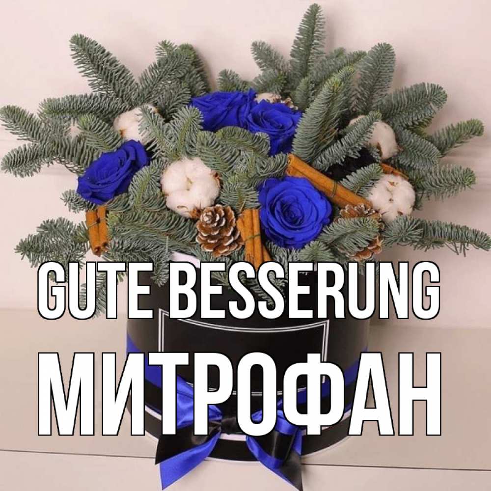 Открытка на каждый день с именем, Митрофан Gute Besserung короче кто то загрузил эти шишки Прикольная открытка с пожеланием онлайн скачать бесплатно 