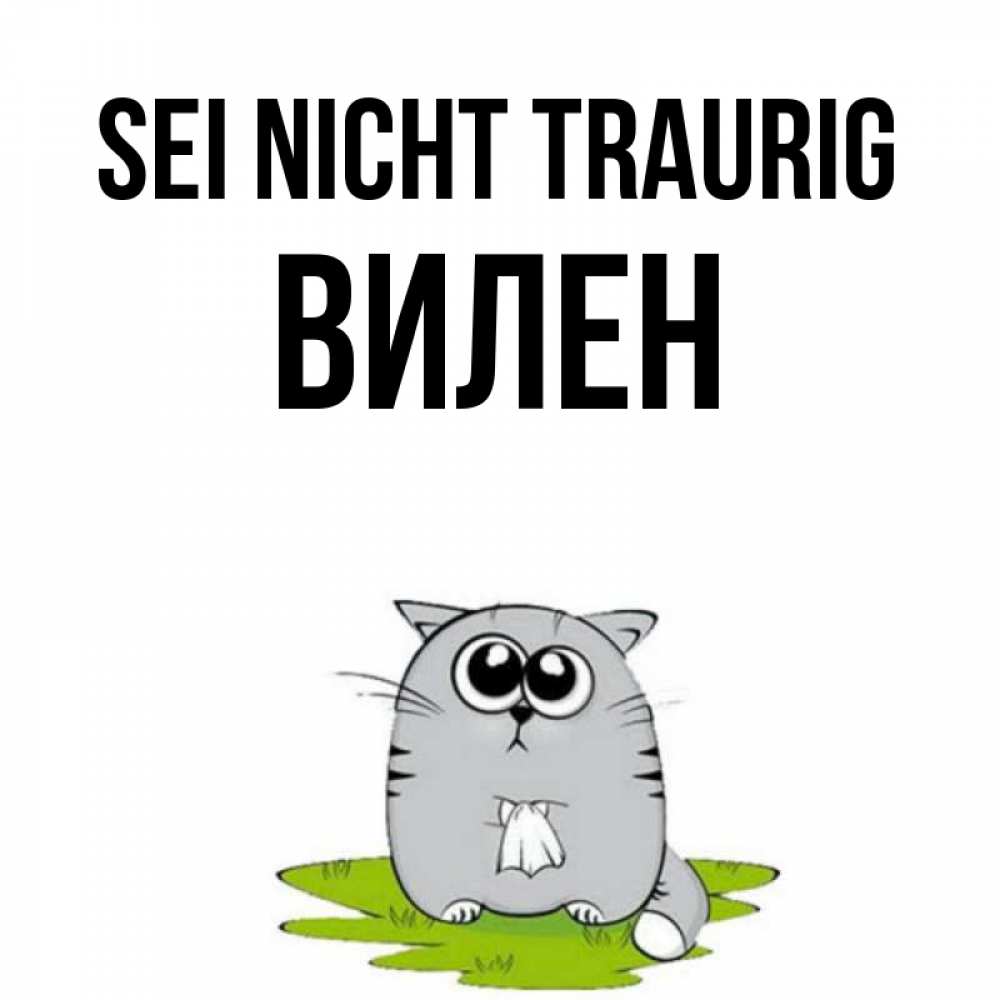 Открытка на каждый день с именем, Вилен Sei nicht traurig грустный котяра Прикольная открытка с пожеланием онлайн скачать бесплатно 