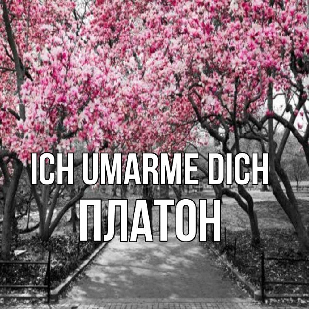 Открытка на каждый день с именем, Платон Ich umarme dich обработанное фото Прикольная открытка с пожеланием онлайн скачать бесплатно 