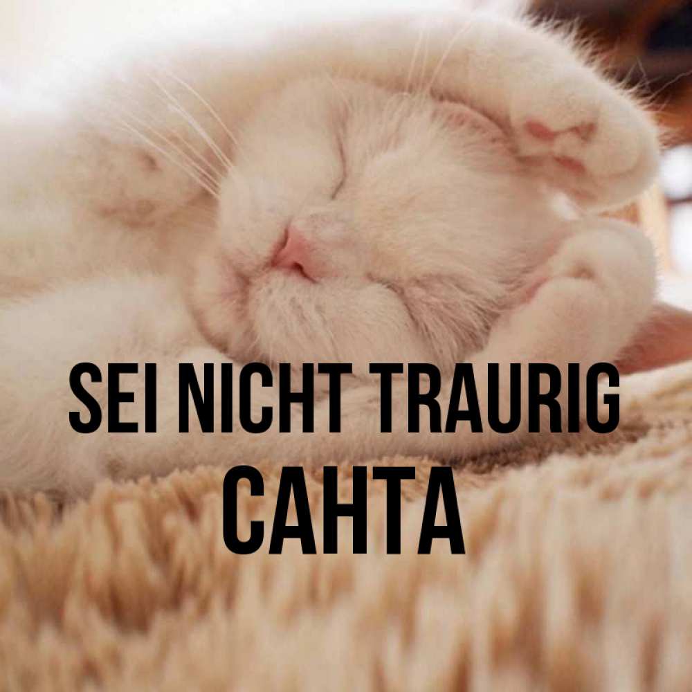 Открытка на каждый день с именем, Санта Sei nicht traurig Котенок спит Прикольная открытка с пожеланием онлайн скачать бесплатно 
