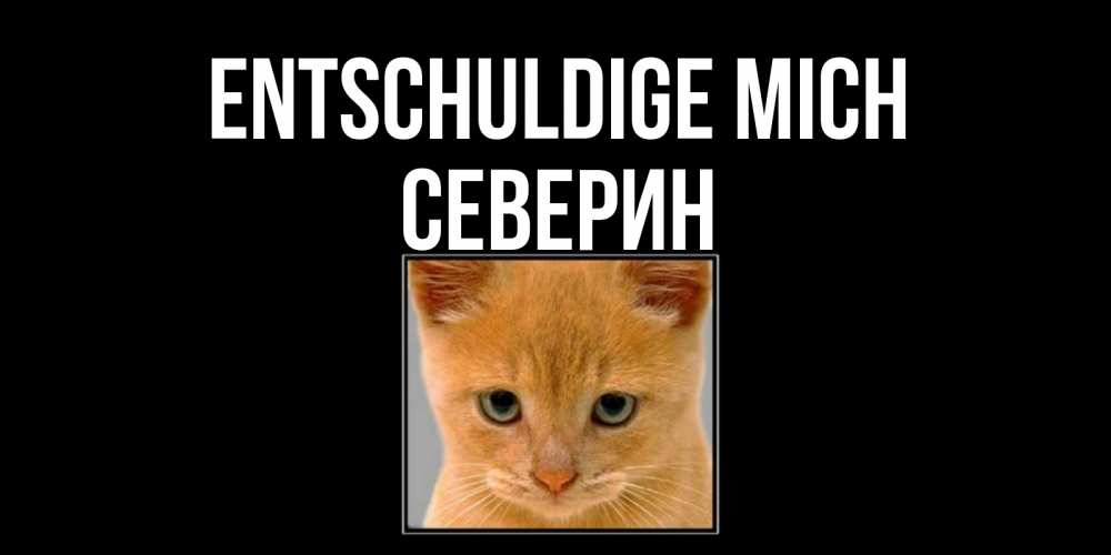 Открытка на каждый день с именем, Северин Entschuldige mich рыжий грустный кот просит прощения Прикольная открытка с пожеланием онлайн скачать бесплатно 