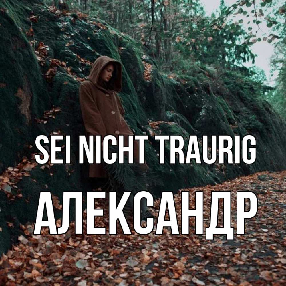 Открытка на каждый день с именем, Александр Sei nicht traurig осенний лес Прикольная открытка с пожеланием онлайн скачать бесплатно 