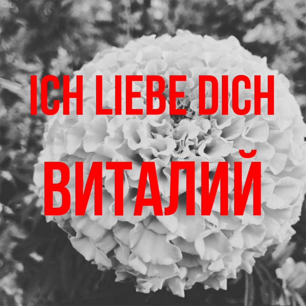 Открытка на каждый день с именем, Виталий Ich liebe dich подпись Прикольная открытка с пожеланием онлайн скачать бесплатно 