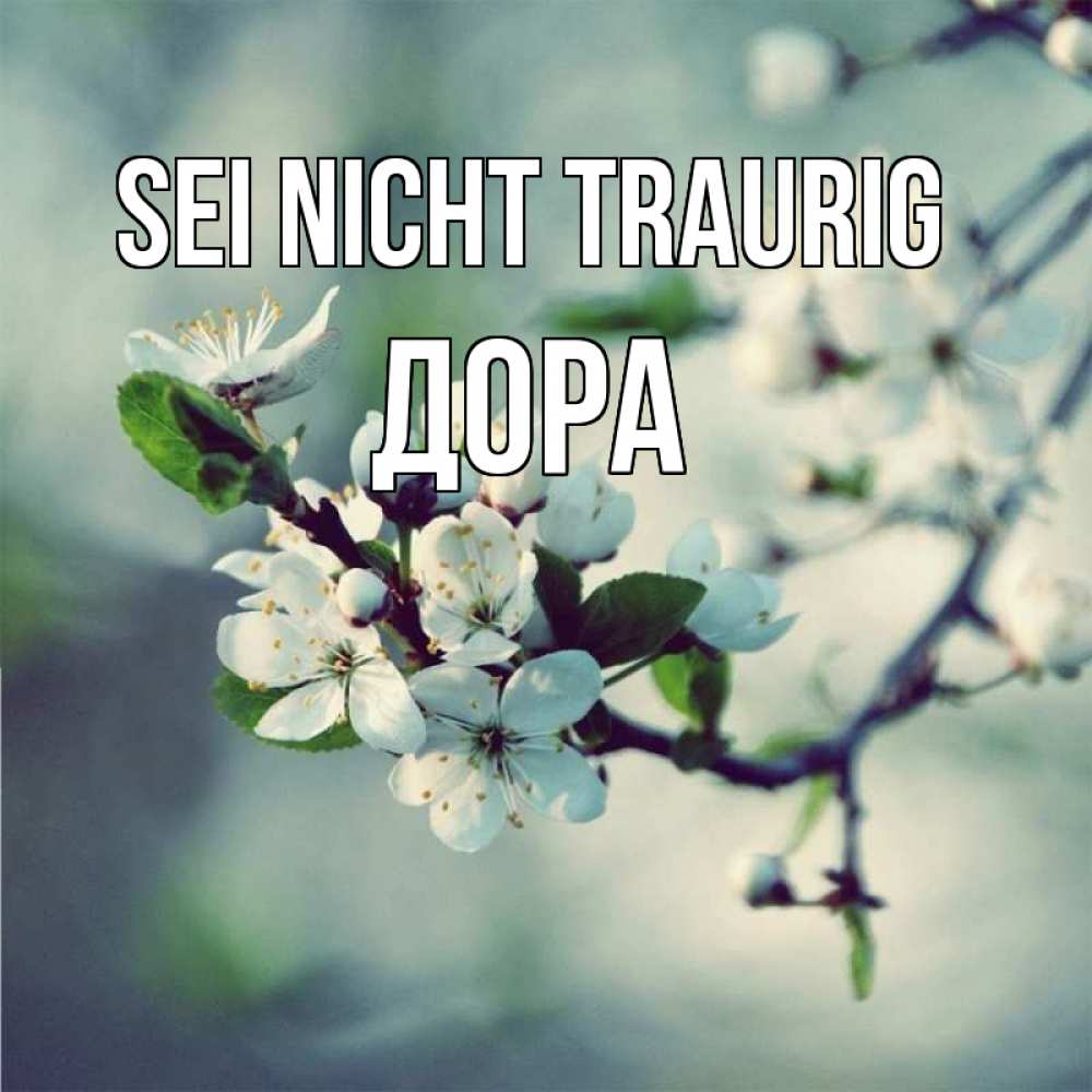 Открытка на каждый день с именем, Дора Sei nicht traurig яблоня в цвету 1 Прикольная открытка с пожеланием онлайн скачать бесплатно 
