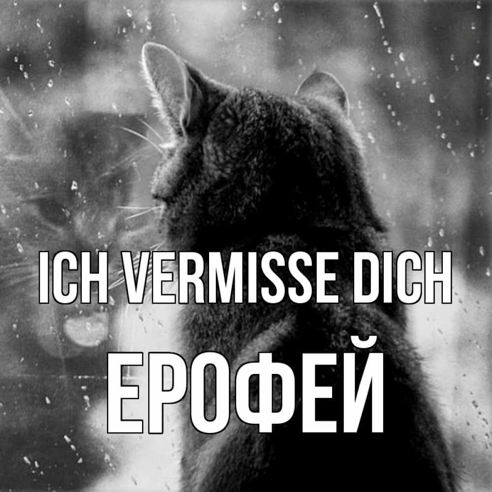Открытка на каждый день с именем, Ерофей Ich vermisse dich скорее ко мне приходи 1 Прикольная открытка с пожеланием онлайн скачать бесплатно 