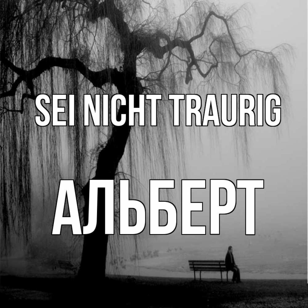 Открытка на каждый день с именем, Альберт Sei nicht traurig висящие ветки дерева и лавочка под деревом Прикольная открытка с пожеланием онлайн скачать бесплатно 