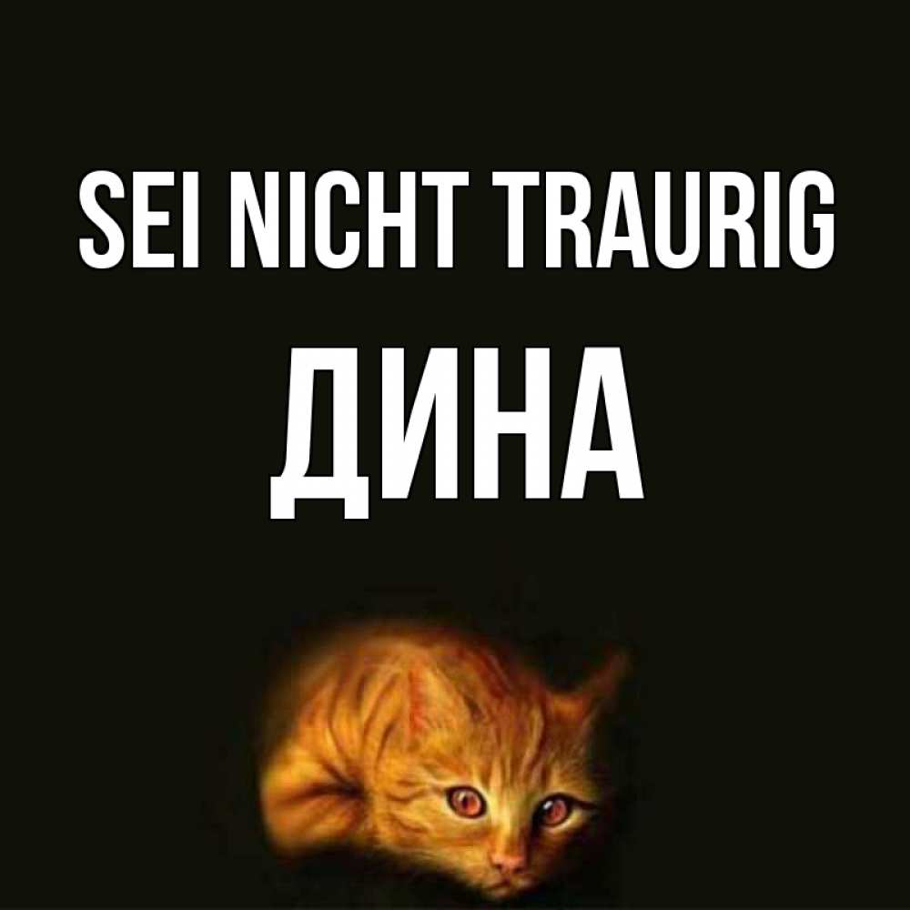 Открытка на каждый день с именем, Дина Sei nicht traurig лежащий кот в темноте Прикольная открытка с пожеланием онлайн скачать бесплатно 
