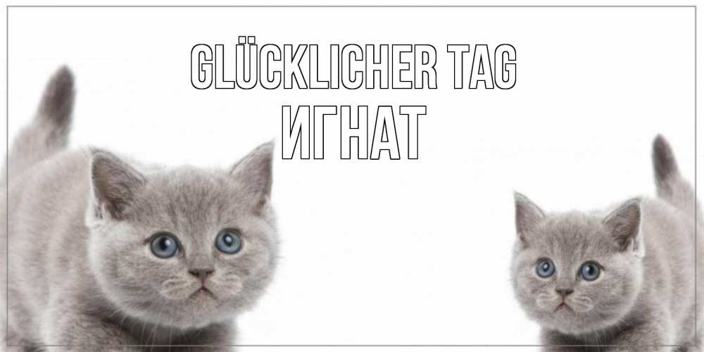 Открытка на каждый день с именем, Игнат Glücklicher Tag открытка с котами Прикольная открытка с пожеланием онлайн скачать бесплатно 