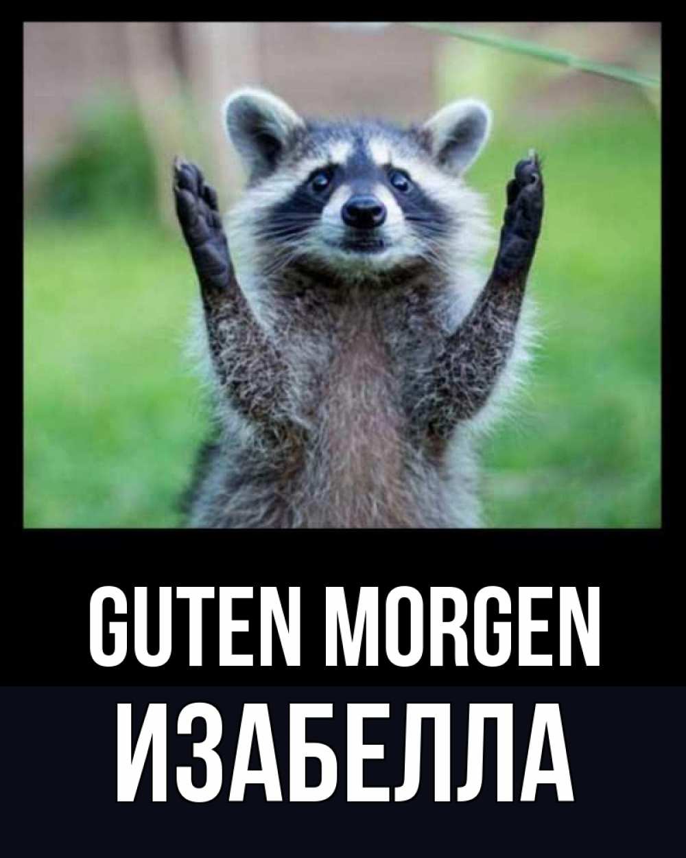 Открытка на каждый день с именем, Изабелла Guten Morgen хорошее настроение утречком Прикольная открытка с пожеланием онлайн скачать бесплатно 