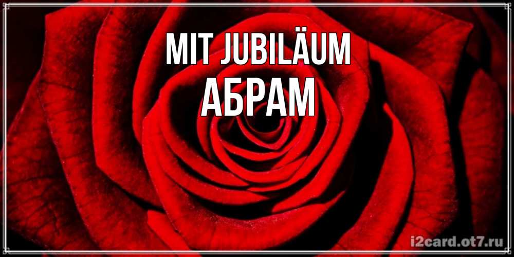 Открытка на каждый день с именем, Абрам Mit Jubiläum алая роза Прикольная открытка с пожеланием онлайн скачать бесплатно 