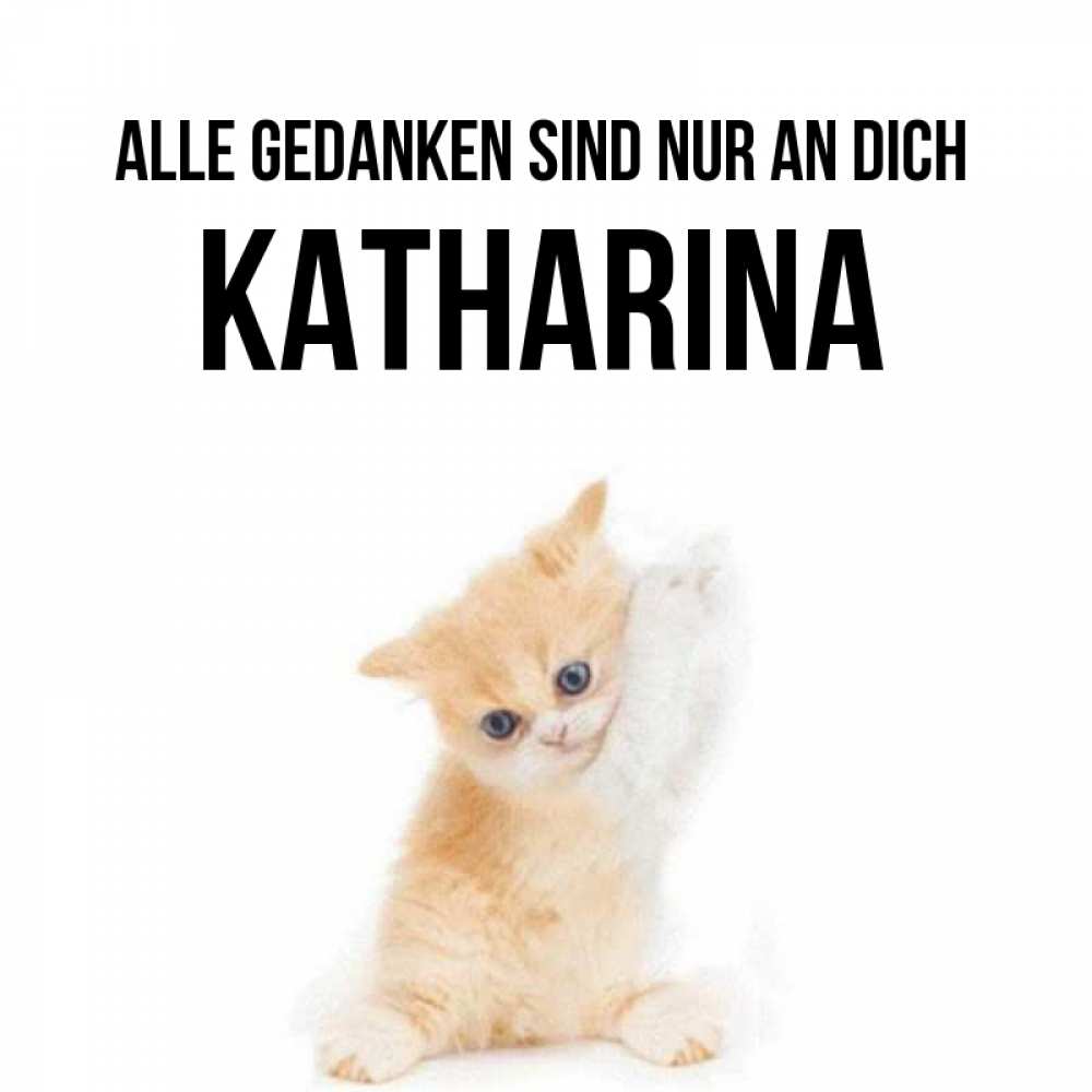 Открытка на каждый день с именем, Katharina Alle Gedanken sind nur an dich зверушки и милота Прикольная открытка с пожеланием онлайн скачать бесплатно 