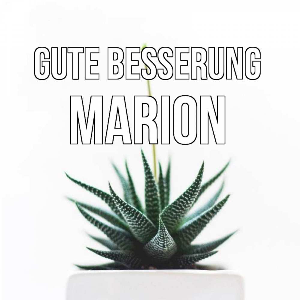 Открытка на каждый день с именем, Marion Gute Besserung короче это непонятная колючка Прикольная открытка с пожеланием онлайн скачать бесплатно 