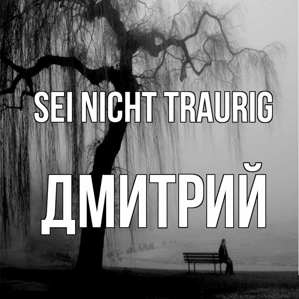 Открытка на каждый день с именем, Дмитрий Sei nicht traurig висящие ветки дерева и лавочка под деревом Прикольная открытка с пожеланием онлайн скачать бесплатно 