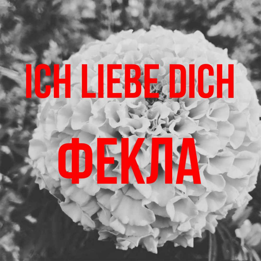 Открытка на каждый день с именем, Фекла Ich liebe dich подпись Прикольная открытка с пожеланием онлайн скачать бесплатно 