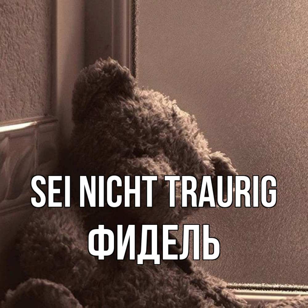 Открытка на каждый день с именем, Фидель Sei nicht traurig стекол рефленое Прикольная открытка с пожеланием онлайн скачать бесплатно 