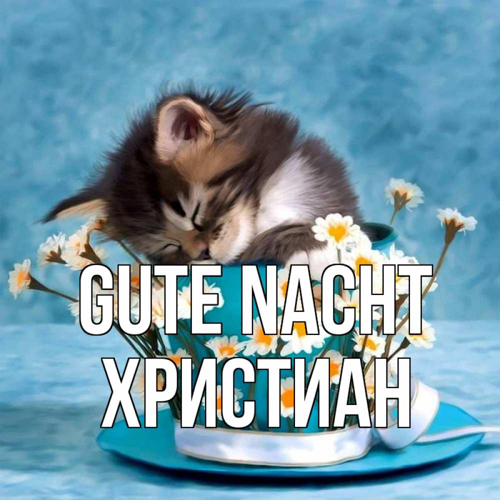 Открытка на каждый день с именем, Христиан Gute Nacht котенок спит в кружке с блюдцем Прикольная открытка с пожеланием онлайн скачать бесплатно 