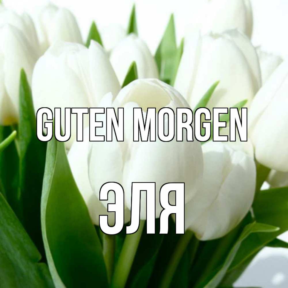 Открытка на каждый день с именем, Эля Guten Morgen открытки на каждый день по именам Прикольная открытка с пожеланием онлайн скачать бесплатно 