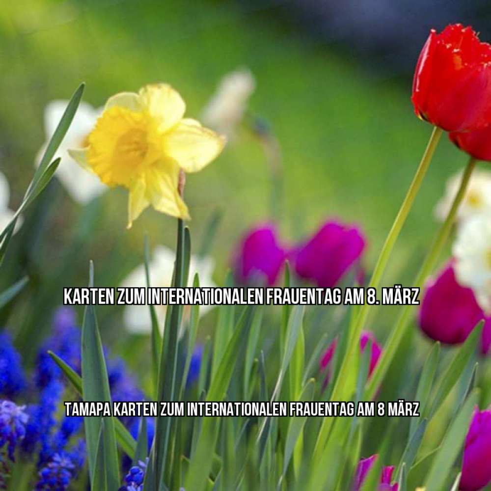 Картинка Karten zum Internationalen Frauentag am 8. März, Тамара