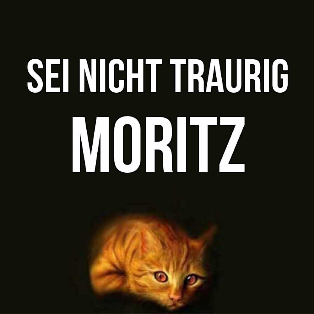 Открытка на каждый день с именем, Moritz Sei nicht traurig лежащий кот в темноте Прикольная открытка с пожеланием онлайн скачать бесплатно 