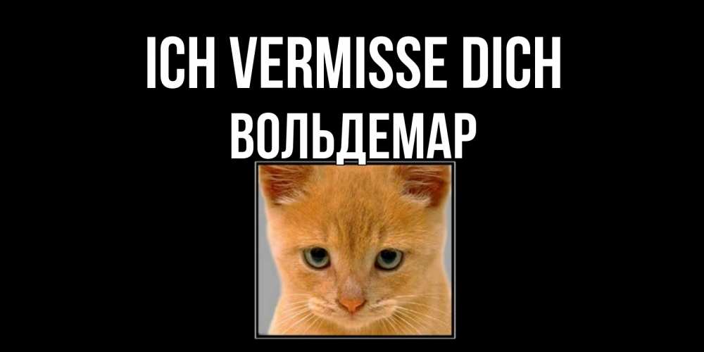 Открытка на каждый день с именем, Вольдемар Ich vermisse dich открытки рыжий котенок скучает по тебе Прикольная открытка с пожеланием онлайн скачать бесплатно 