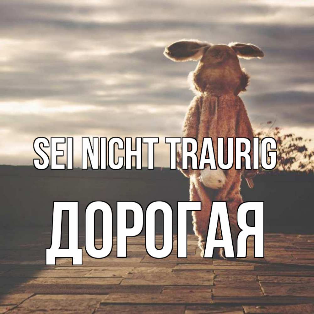 Открытка на каждый день с именем, Дорогая Sei nicht traurig со спины Прикольная открытка с пожеланием онлайн скачать бесплатно 