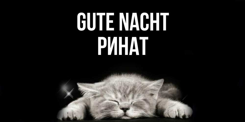 Открытка на каждый день с именем, Ринат Gute Nacht спящий котик Прикольная открытка с пожеланием онлайн скачать бесплатно 