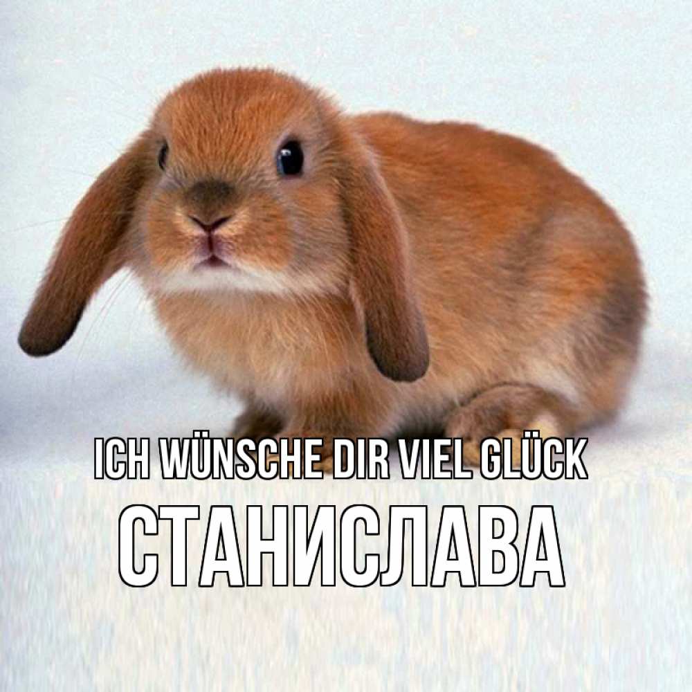Открытка на каждый день с именем, Станислава Ich wünsche dir viel Glück вставить текст в открытку по выбору Прикольная открытка с пожеланием онлайн скачать бесплатно 
