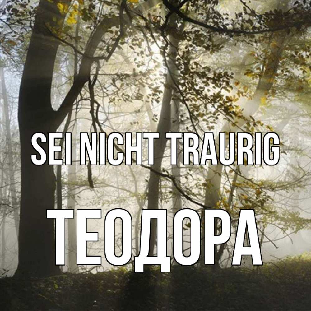 Открытка на каждый день с именем, Теодора Sei nicht traurig лес и свет Прикольная открытка с пожеланием онлайн скачать бесплатно 
