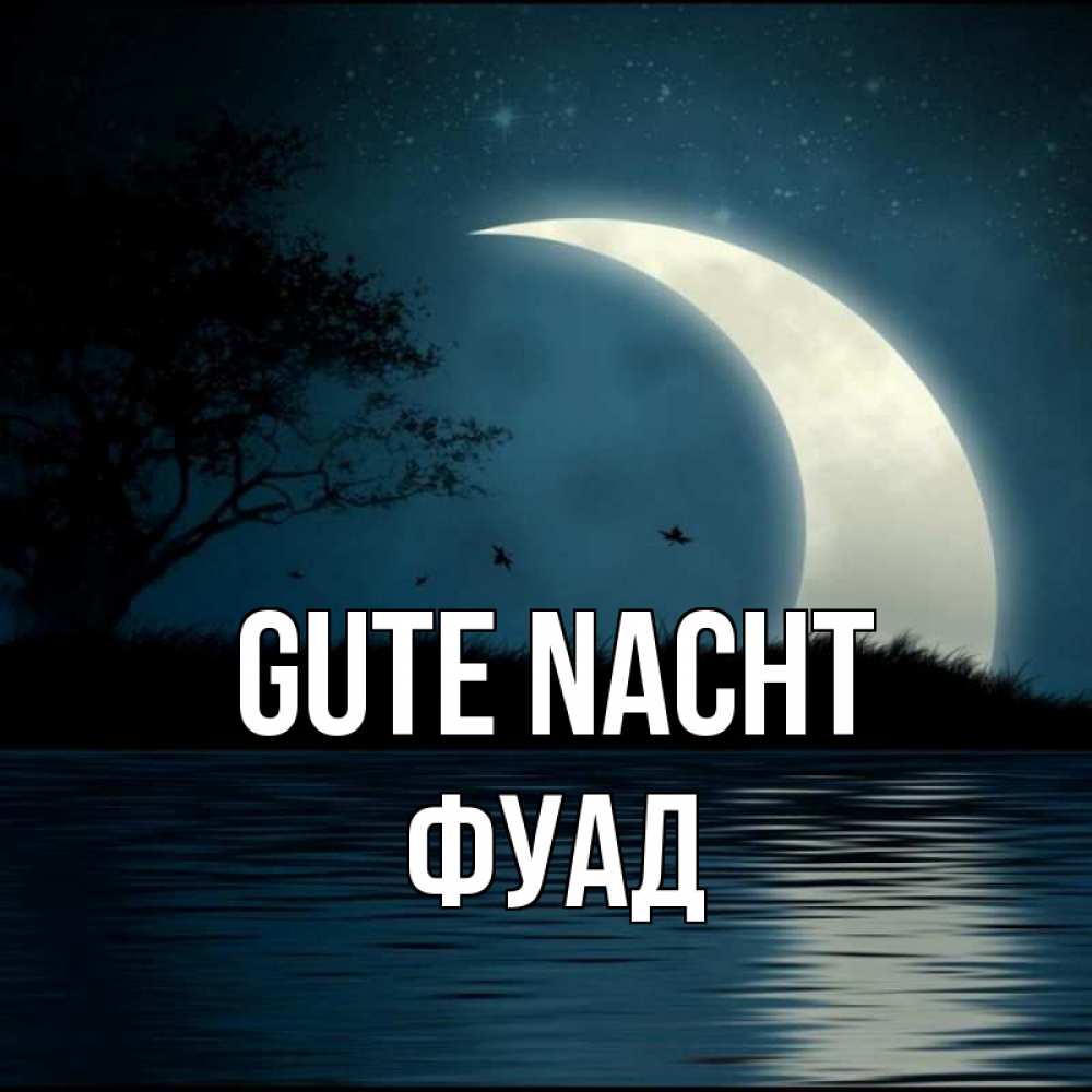 Открытка на каждый день с именем, Фуад Gute Nacht вода Прикольная открытка с пожеланием онлайн скачать бесплатно 