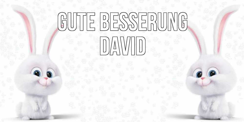 Открытка на каждый день с именем, David Gute Besserung не болей с зайцем Прикольная открытка с пожеланием онлайн скачать бесплатно 
