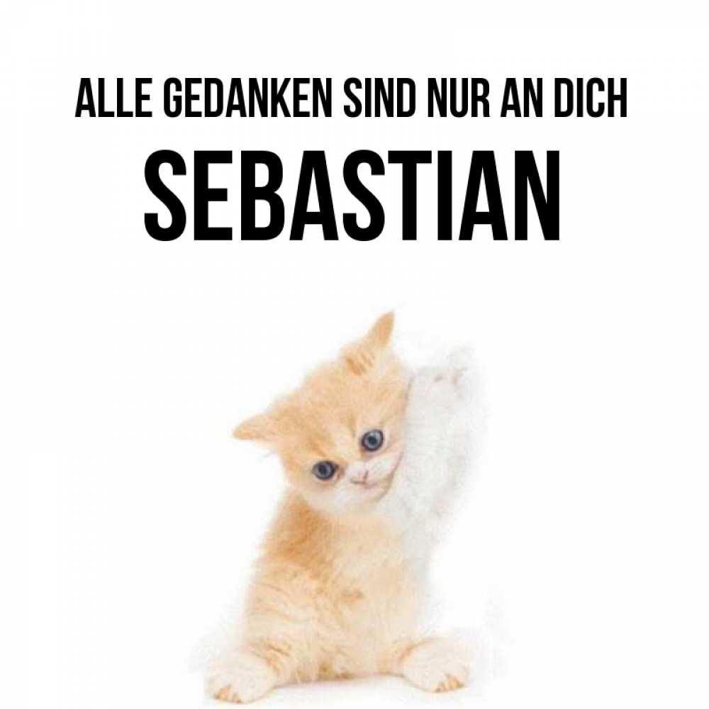 Открытка на каждый день с именем, Sebastian Alle Gedanken sind nur an dich зверушки и милота Прикольная открытка с пожеланием онлайн скачать бесплатно 