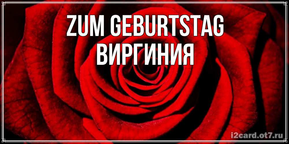 Открытка на каждый день с именем, Виргиния Zum Geburtstag алая роза Прикольная открытка с пожеланием онлайн скачать бесплатно 