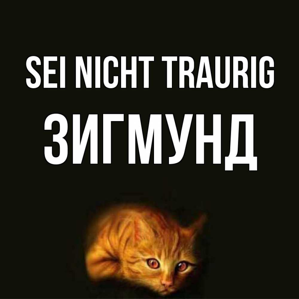 Открытка на каждый день с именем, Зигмунд Sei nicht traurig лежащий кот в темноте Прикольная открытка с пожеланием онлайн скачать бесплатно 
