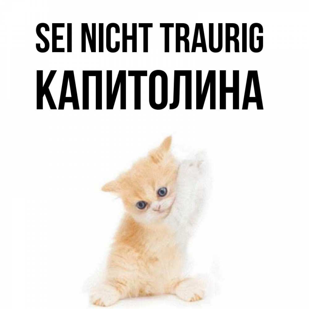 Открытка на каждый день с именем, Капитолина Sei nicht traurig просящий кот Прикольная открытка с пожеланием онлайн скачать бесплатно 