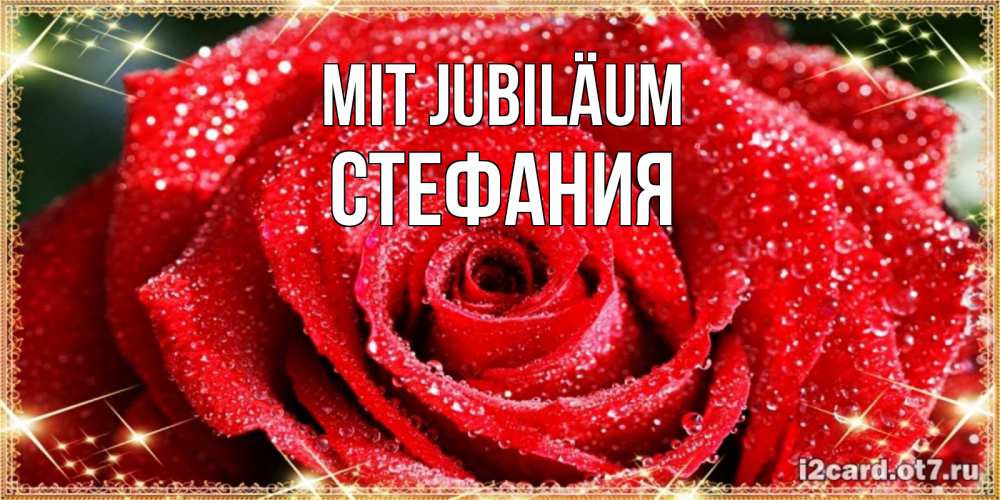 Открытка на каждый день с именем, Стефания Mit Jubiläum роса и роза. открытка с красивой розой Прикольная открытка с пожеланием онлайн скачать бесплатно 