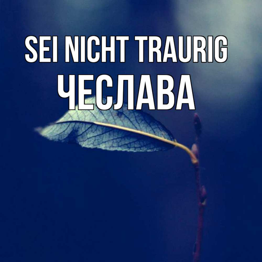 Открытка на каждый день с именем, Чеслава Sei nicht traurig растение Прикольная открытка с пожеланием онлайн скачать бесплатно 