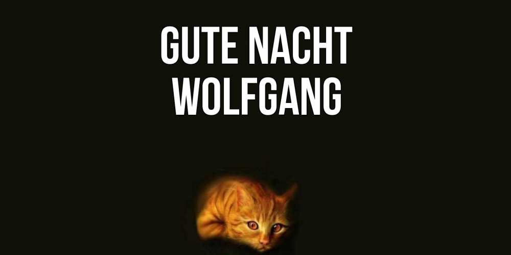 Открытка на каждый день с именем, Wolfgang Gute Nacht кот Прикольная открытка с пожеланием онлайн скачать бесплатно 