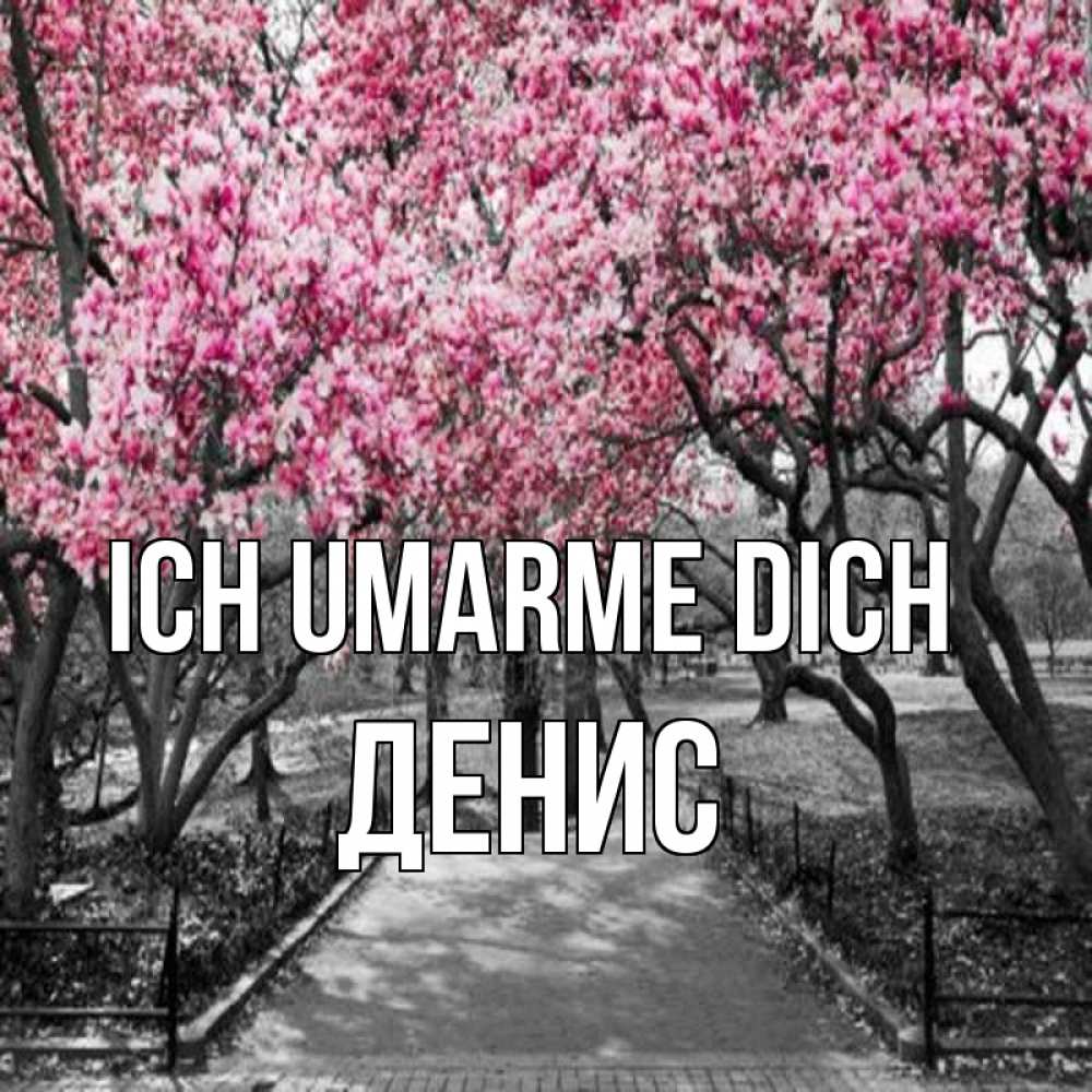 Открытка на каждый день с именем, Денис Ich umarme dich обработанное фото Прикольная открытка с пожеланием онлайн скачать бесплатно 