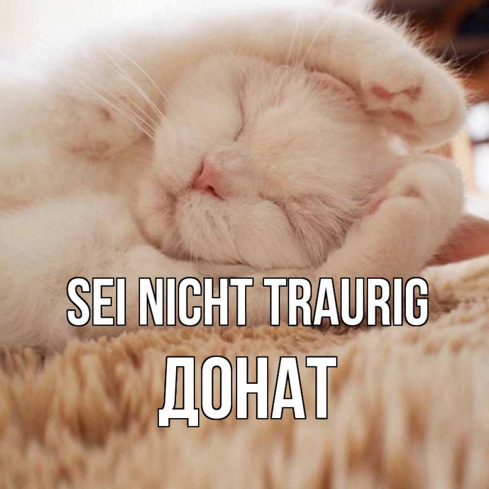 Открытка на каждый день с именем, Донат Sei nicht traurig белый кот Прикольная открытка с пожеланием онлайн скачать бесплатно 