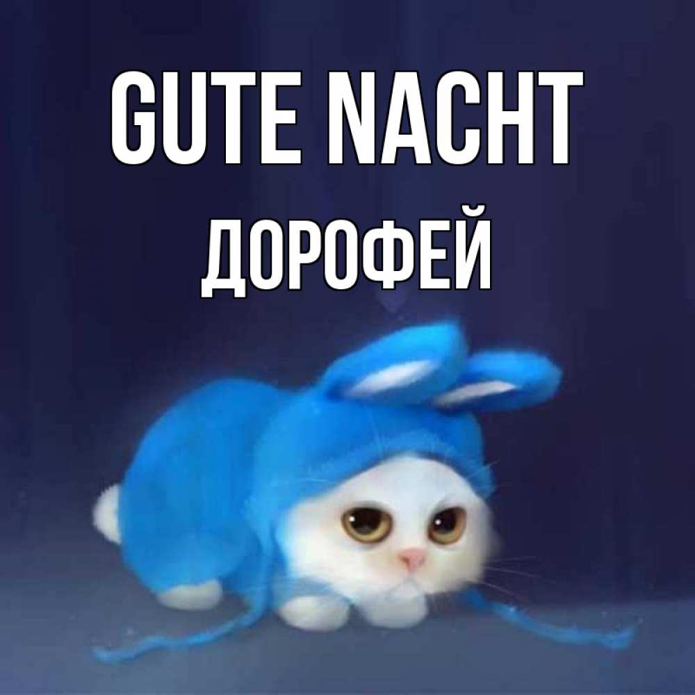 Открытка на каждый день с именем, Дорофей Gute Nacht кот в голубом костюме кролика с ушками Прикольная открытка с пожеланием онлайн скачать бесплатно 