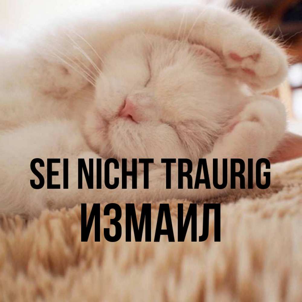 Открытка на каждый день с именем, Измаил Sei nicht traurig Котенок спит Прикольная открытка с пожеланием онлайн скачать бесплатно 