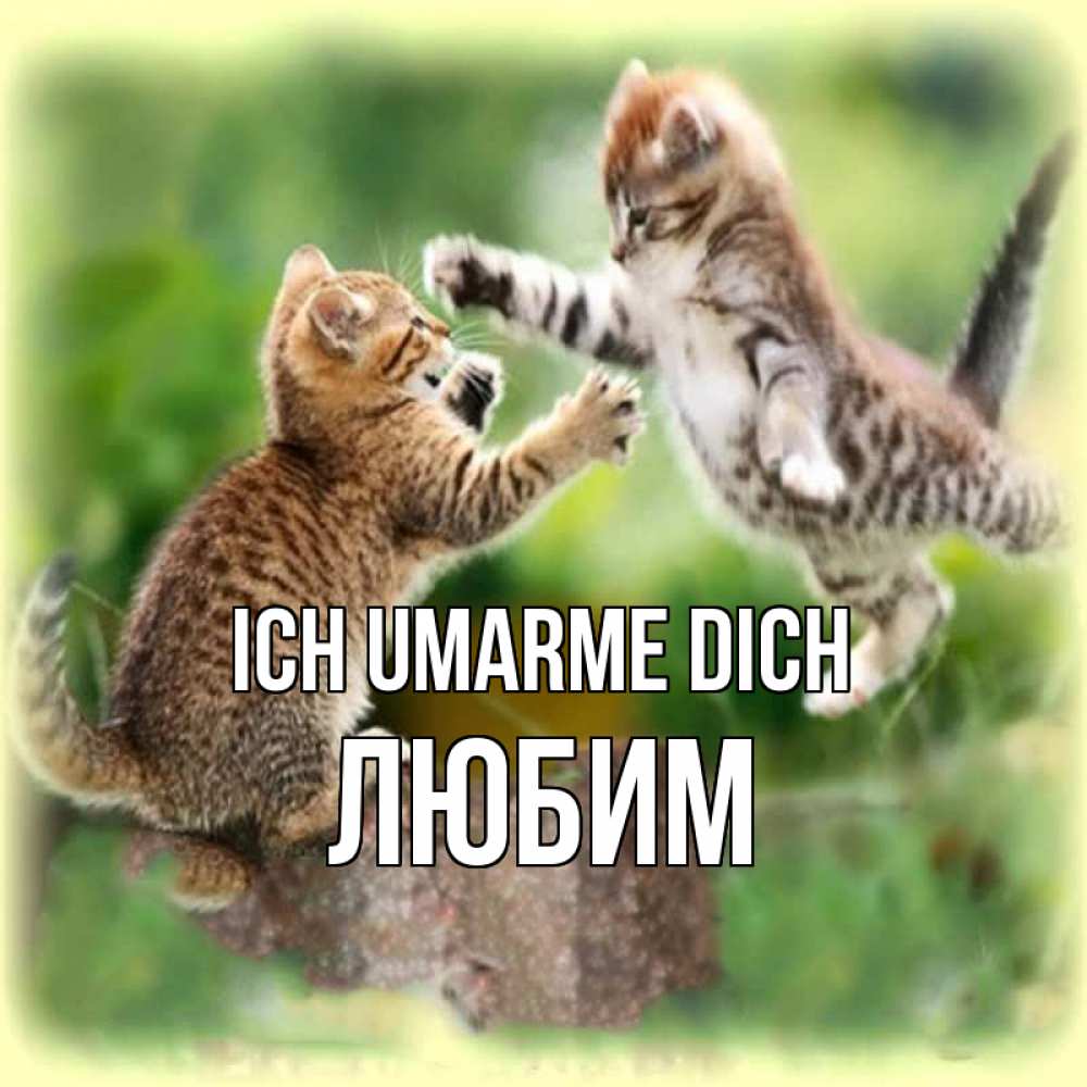 Открытка на каждый день с именем, Любим Ich umarme dich игры котят Прикольная открытка с пожеланием онлайн скачать бесплатно 