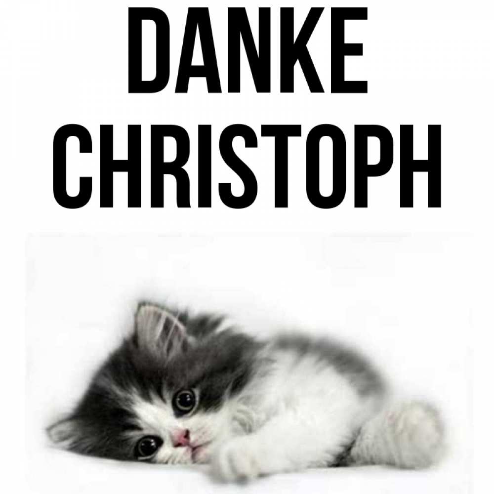 Открытка на каждый день с именем, Christoph Danke черный и белый кот Прикольная открытка с пожеланием онлайн скачать бесплатно 