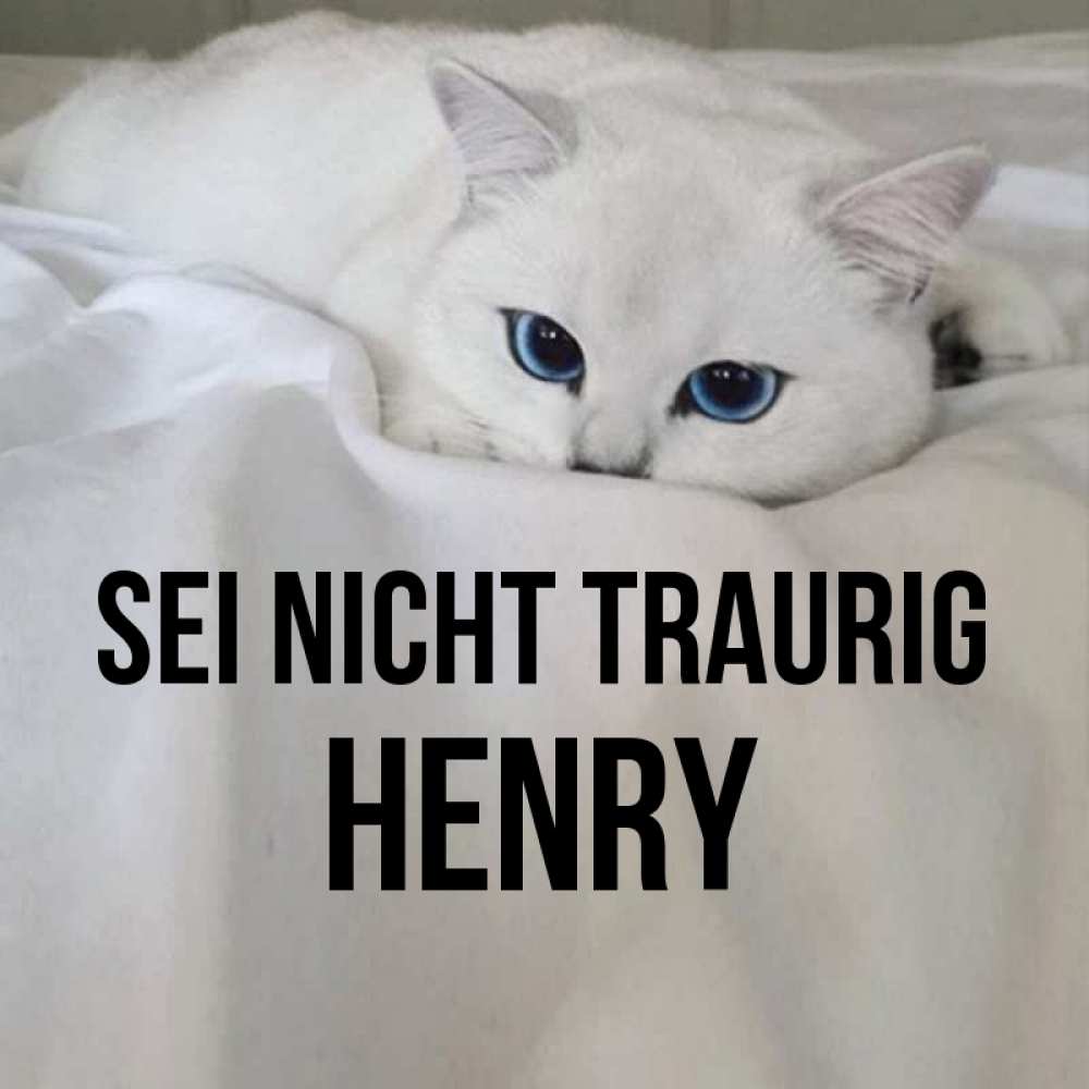 Открытка на каждый день с именем, Henry Sei nicht traurig Голубоглазая кошка Прикольная открытка с пожеланием онлайн скачать бесплатно 