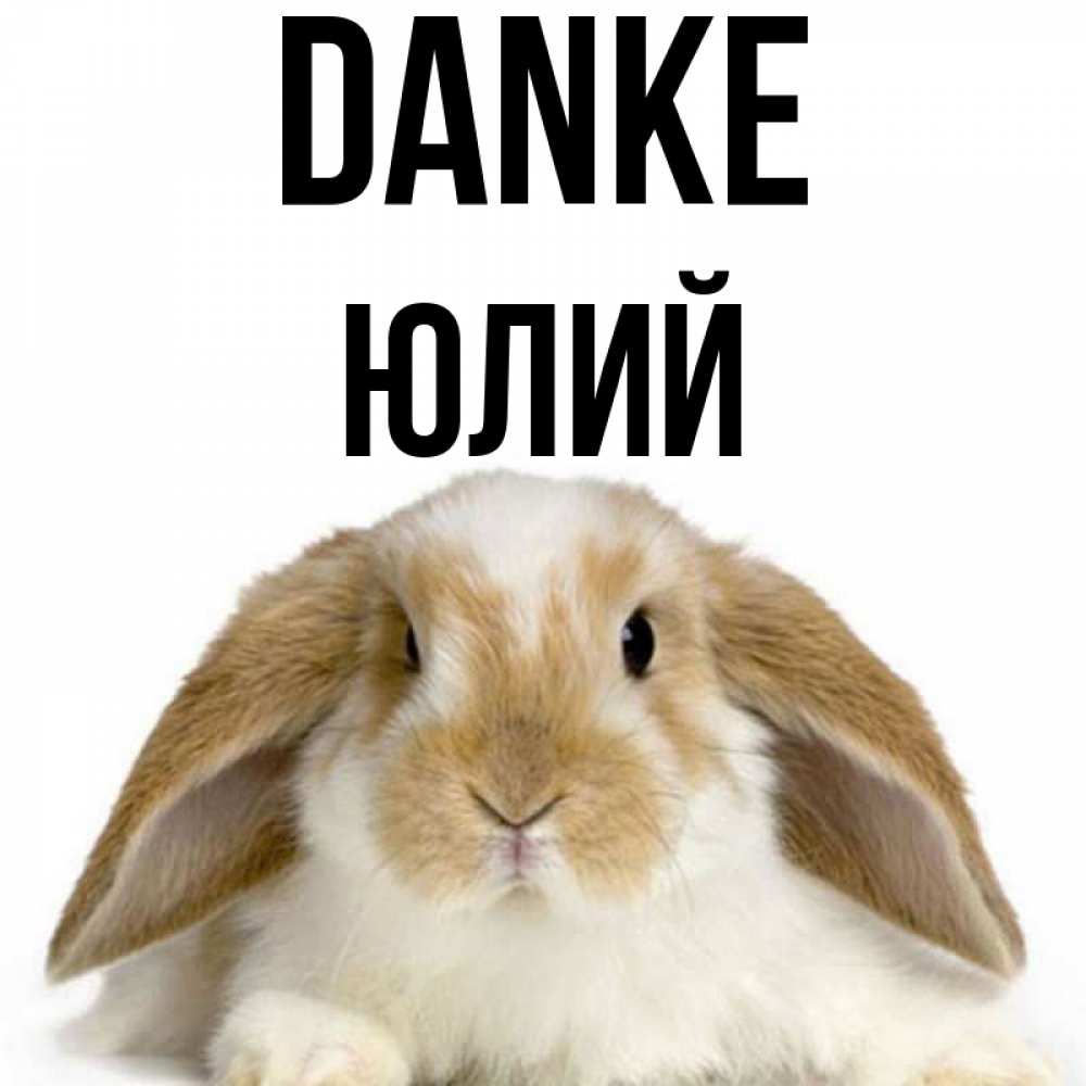 Открытка на каждый день с именем, Юлий Danke коричнево белый заяц Прикольная открытка с пожеланием онлайн скачать бесплатно 