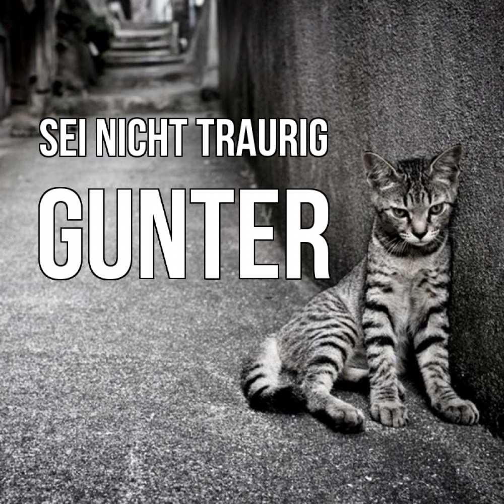 Открытка на каждый день с именем, Gunter Sei nicht traurig скучающий котик Прикольная открытка с пожеланием онлайн скачать бесплатно 